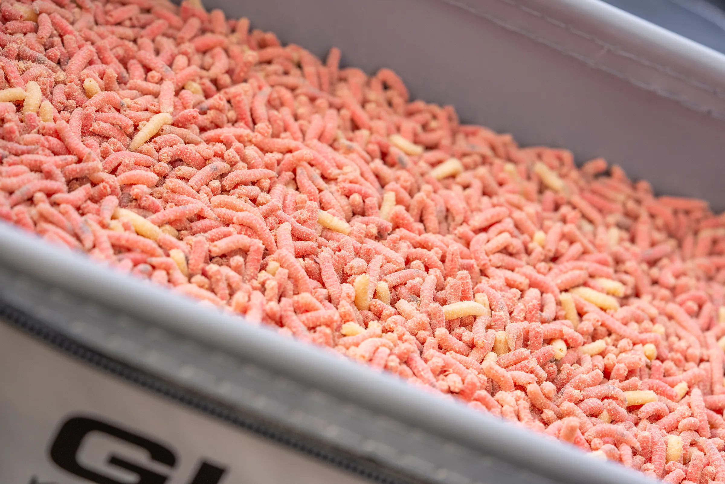 Andy Bennet's 5 Tips To Improving Your Maggot Fishing This Winter ...