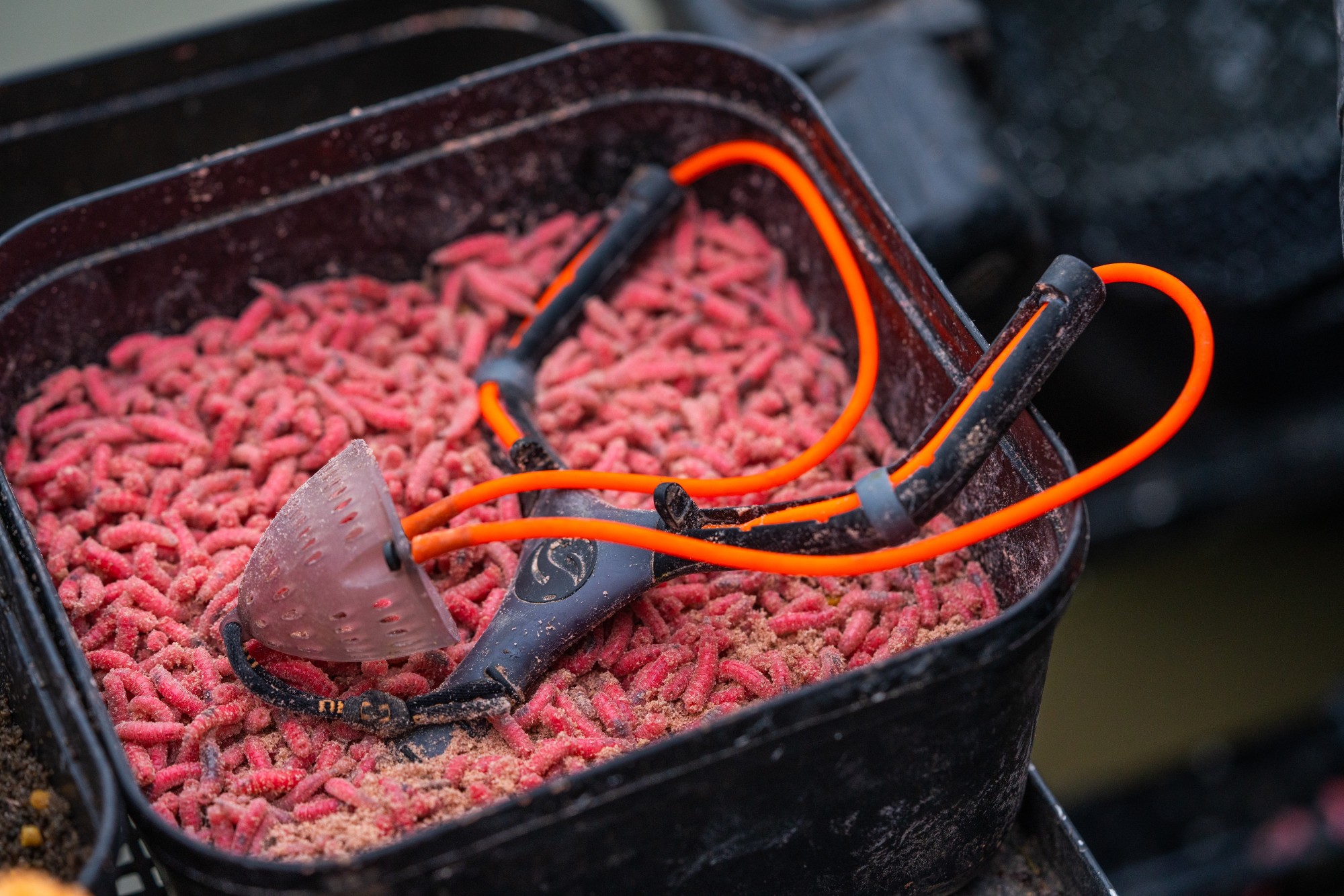 Catapult Light | Tackle Guru